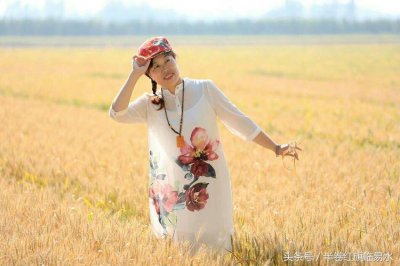 半卷红旗临易水（半卷红旗临易水的易水是什么意思）