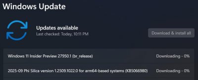 ​微软推 Win11 Canary 27950 预览版：撤回“高级”设置更名