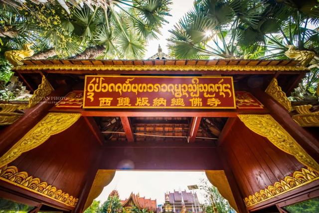 昆明至西双版纳高铁有哪些站点（昆明3h直达西双版纳）(28)