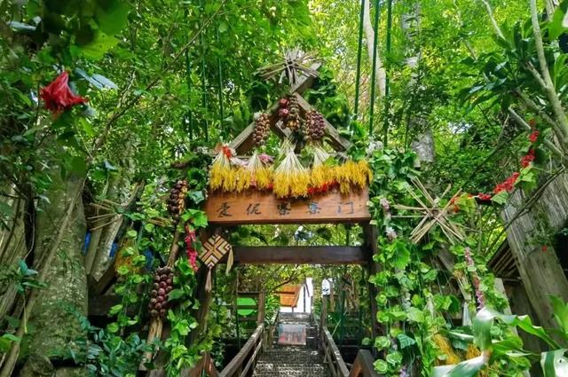 昆明至西双版纳高铁有哪些站点（昆明3h直达西双版纳）(13)