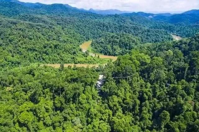 昆明至西双版纳高铁有哪些站点（昆明3h直达西双版纳）(18)