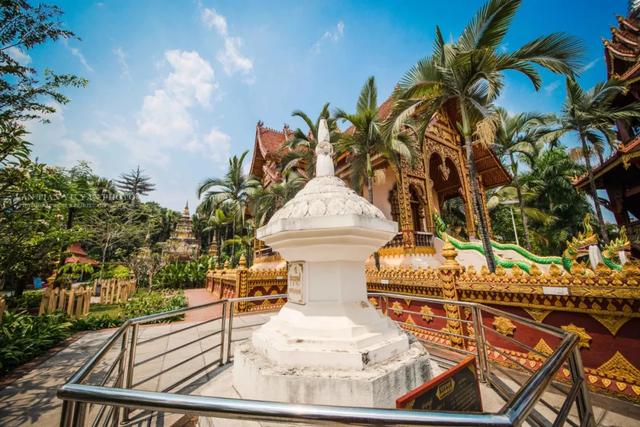 昆明至西双版纳高铁有哪些站点（昆明3h直达西双版纳）(31)