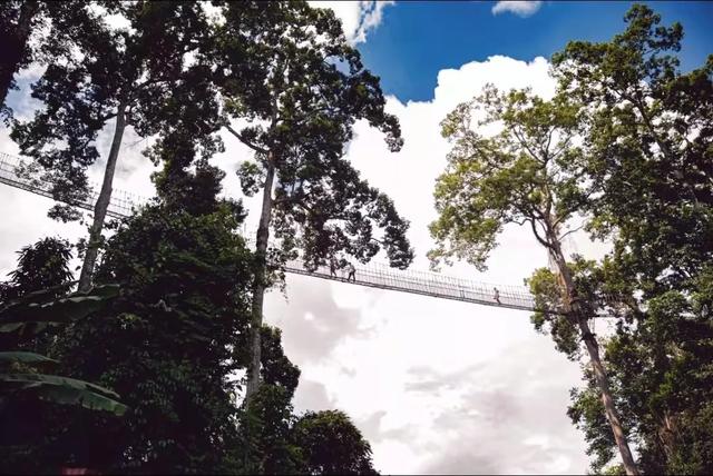 昆明至西双版纳高铁有哪些站点（昆明3h直达西双版纳）(19)