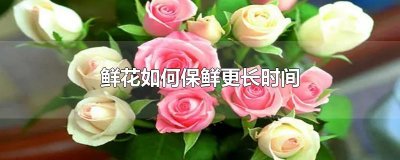 ​鲜花如何保鲜更长时间