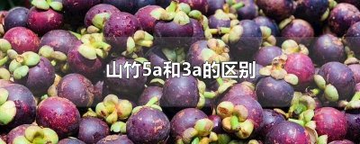 ​山竹5a和3a的区别