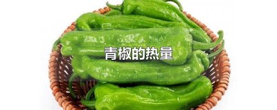 ​青椒的热量