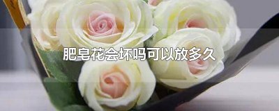 ​肥皂时间长了里面有花 香皂放时间长了会坏吗