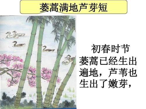 蒌蒿满地芦芽短的意思（蒌蒿满地芦芽短什么意思）