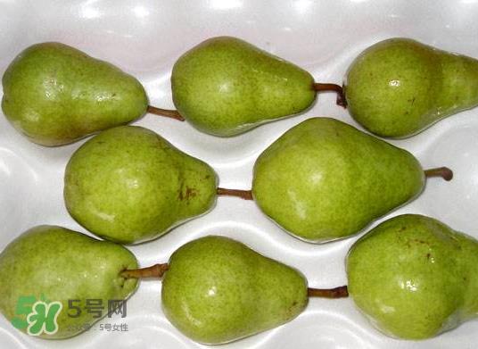 葫芦梨怎么软的快？葫芦梨几月份成熟？