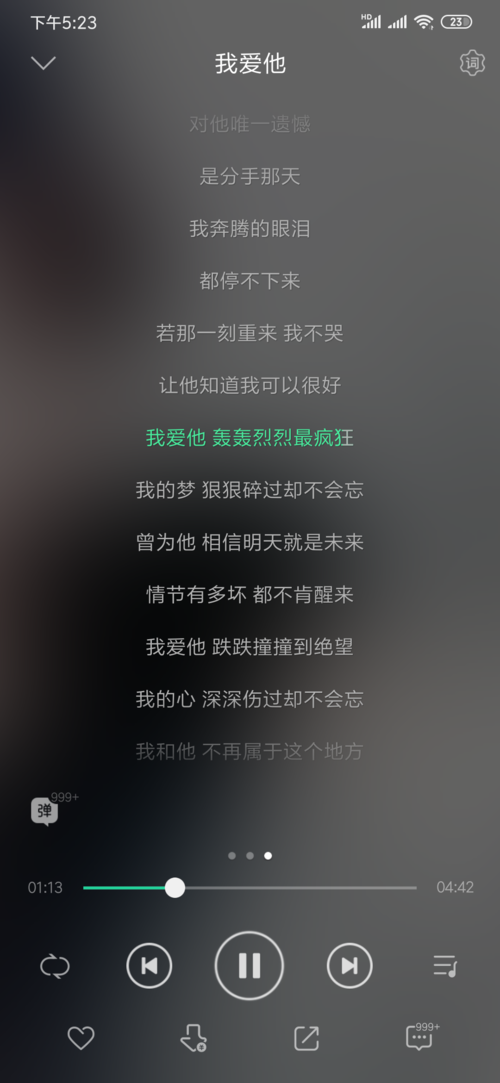 我爱他轰轰烈烈最疯狂是什么歌（我爱他歌词介绍）