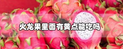 ​火龙果里面有黄点能吃吗