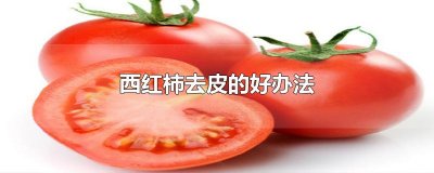 ​西红柿去皮的好办法