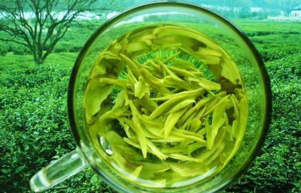 龙井每一泡时间,龙井怎么冲泡方法图2