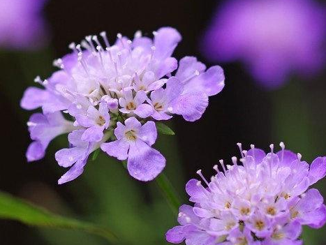 激励人心的句子,工作激励人心的句子正能量图5