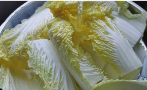 如何炒白菜,炒白菜怎么炒图7