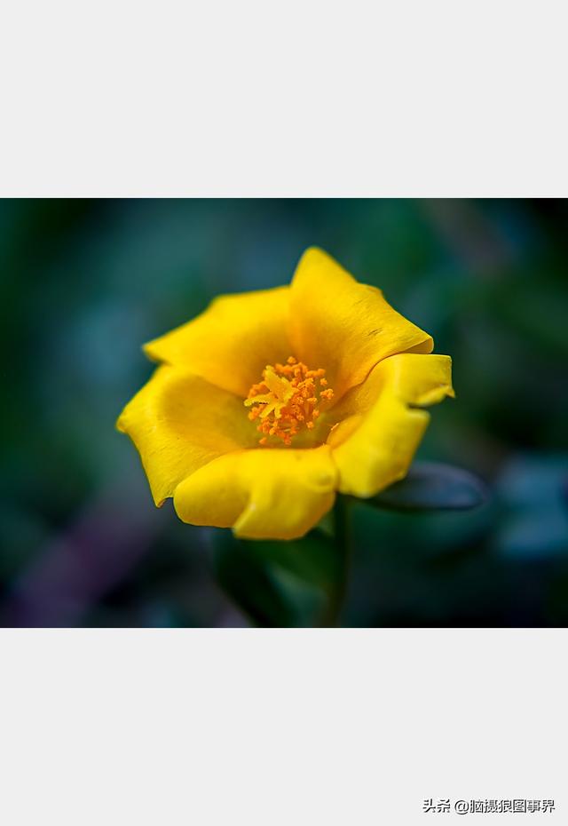 摄影后期背景虚化（对背景虚化有这6大作用）(6)