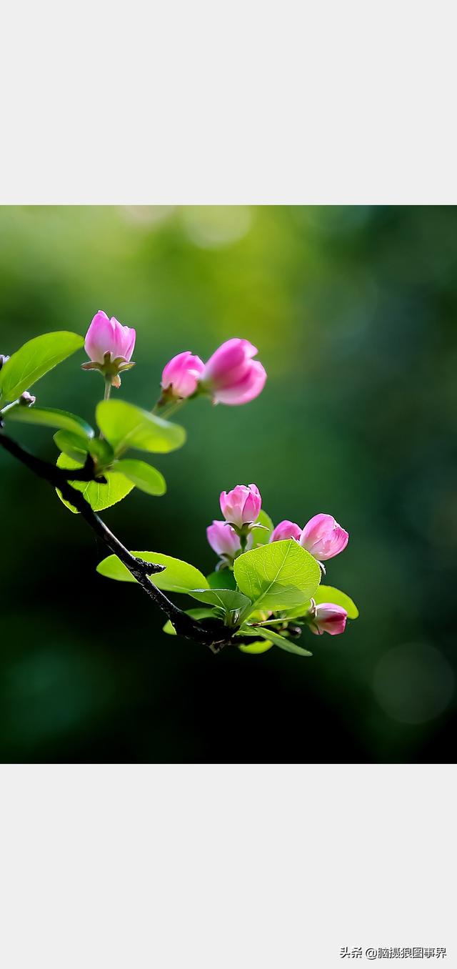 摄影后期背景虚化（对背景虚化有这6大作用）(19)