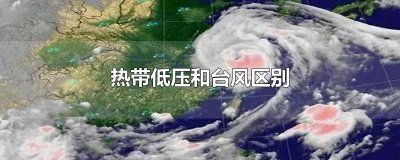 ​哪个属于热带低压台风的级别 台风是副热带高压还是低压