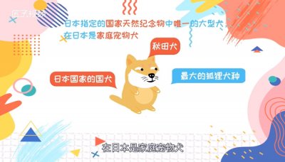 ​忠犬八公是什么狗