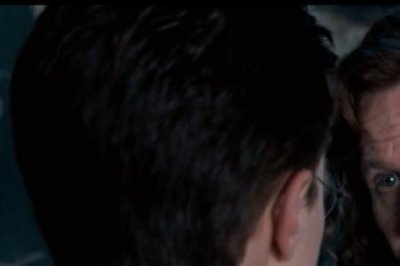 ​小天狼星座的特点