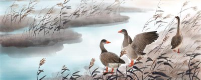 ​白露为霜上一句怎么读