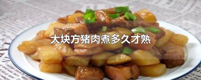 ​猪肉小块煮多久才熟 大块猪肉煮多久能熟