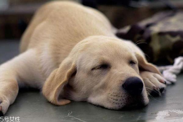 在办公室里正确的午休方式 在办公室里正确的午休方式