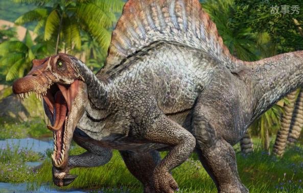 网络图片(侵删)