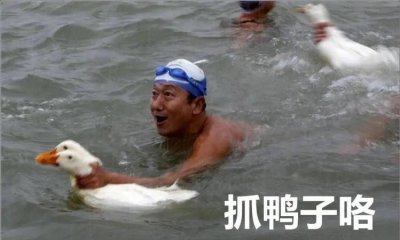 ​抓鸭子什么梗，抓鸭子抓几只什么意思？