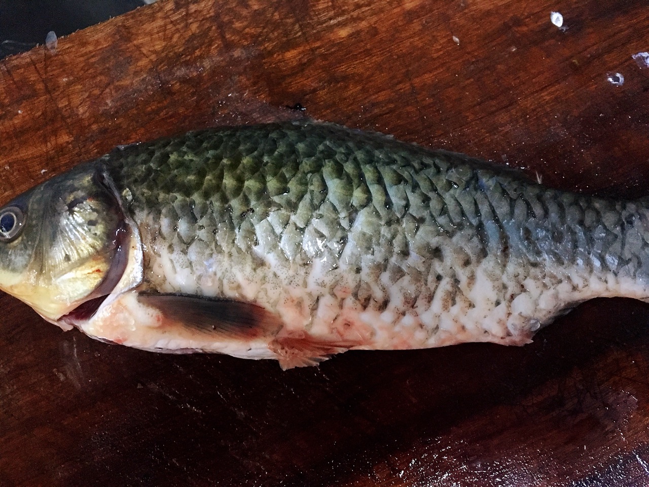 破壁机做鱼汤怎么做(手把手教你制作破壁机鱼汤)