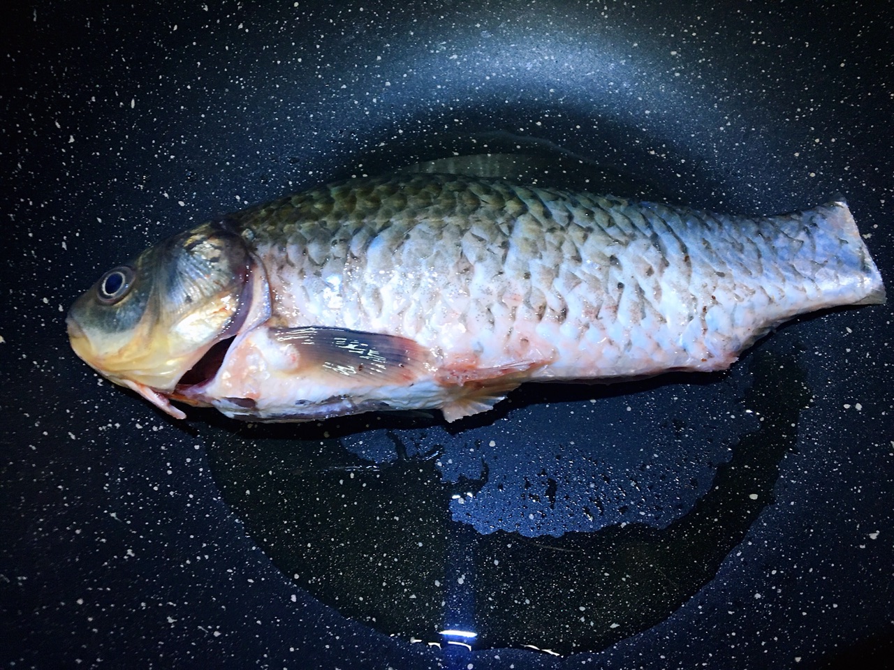 破壁机做鱼汤怎么做(手把手教你制作破壁机鱼汤)