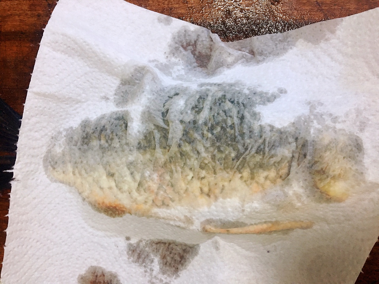 破壁机做鱼汤怎么做(手把手教你制作破壁机鱼汤)