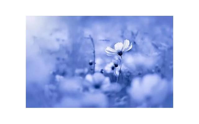  女朋友生气了送什么礼物好呢