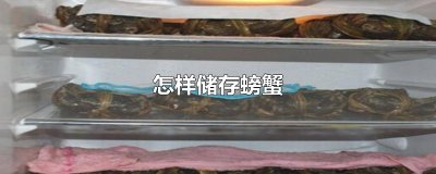 ​怎样储存螃蟹