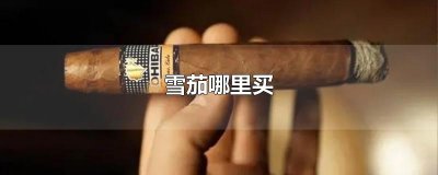 ​雪茄哪里买