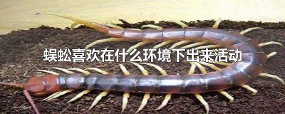 ​蜈蚣喜欢在什么环境下出来活动
