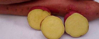 ​早餐吃红薯减肥吗