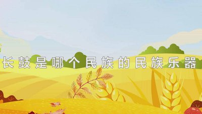​大鼓是什么乐器 大鼓是民族打击乐器吗