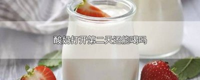 ​酸奶打开第二天能喝吗 打开的酸奶第二天可以喝吗