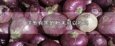 ​洋葱里面黑了还能吃么 洋葱外面发黑了能不能吃