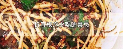 ​折耳根泡水喝可以吗 折耳根泡水喝好还是直接吃好