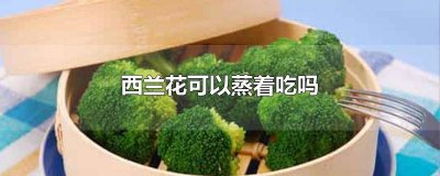 ​西兰花蒸着吃好吗 西兰花如何蒸着吃