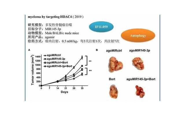 服避孕药有哪些误区 实用有趣的性技能有哪些