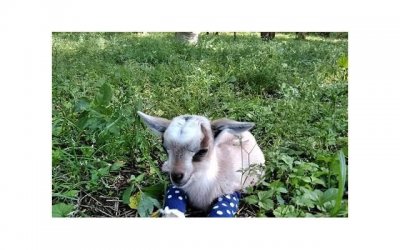 ​相亲遇到经济适用男好不好 因人而异的吧