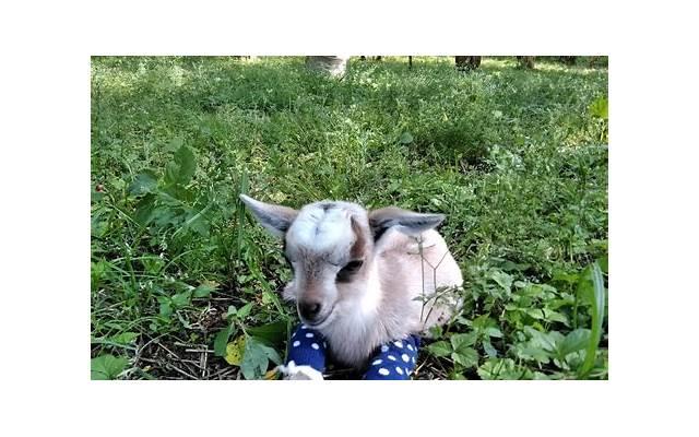 相亲遇到经济适用男好不好 因人而异的吧