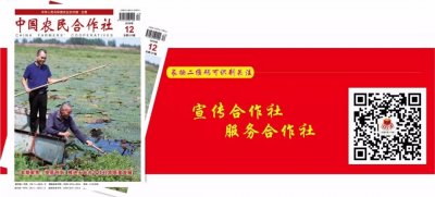 2019合作社理事长联谊节目回放(3)歌舞《烟花三月》